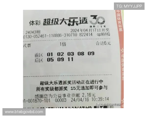 尊龙体育官方平台的投注流程详解,帮助用户轻松完成投注操作