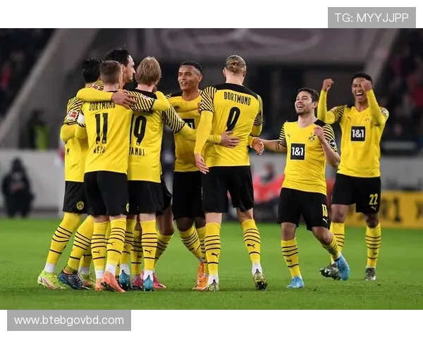 开云体育的国家背景与其在国际体育赛事中的合作关系分析